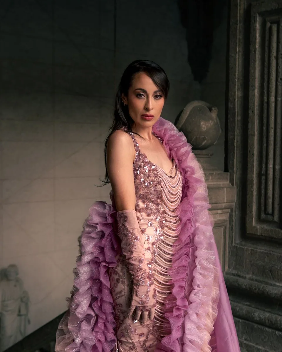 Organza Panel Dress