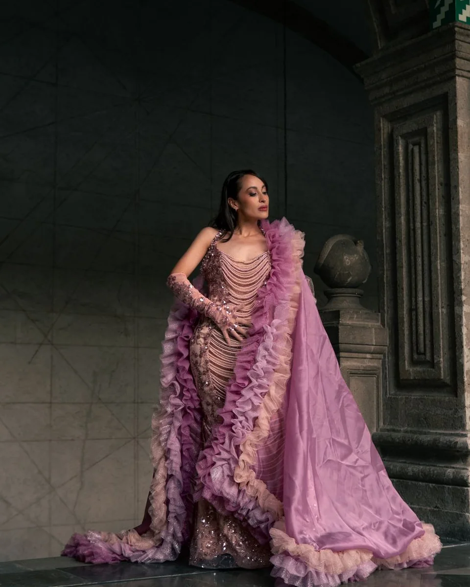 Organza Panel Dress alternate