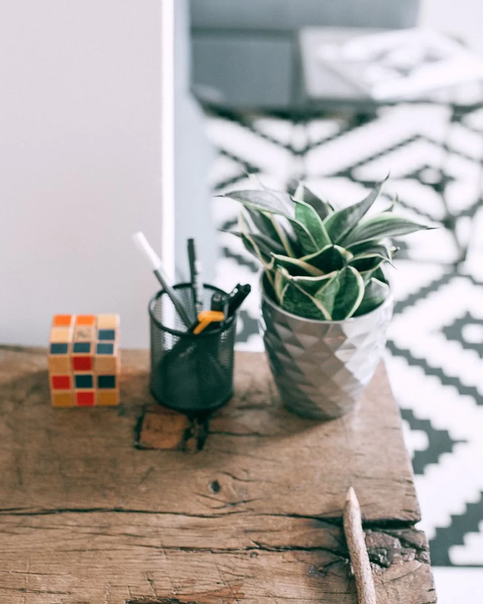 Bộ ghép hình đầu tiên