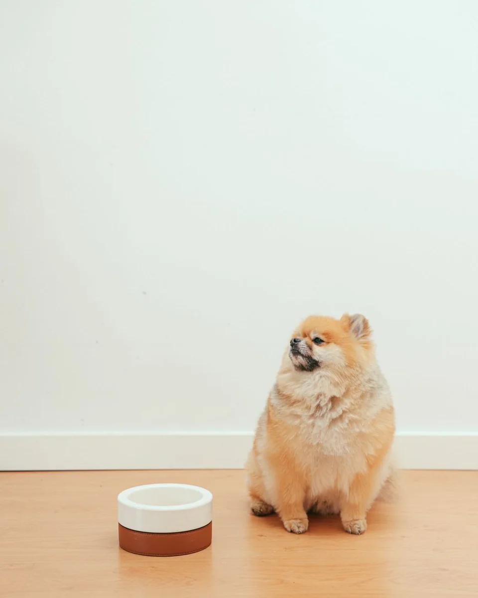 Bình nước đi chơi