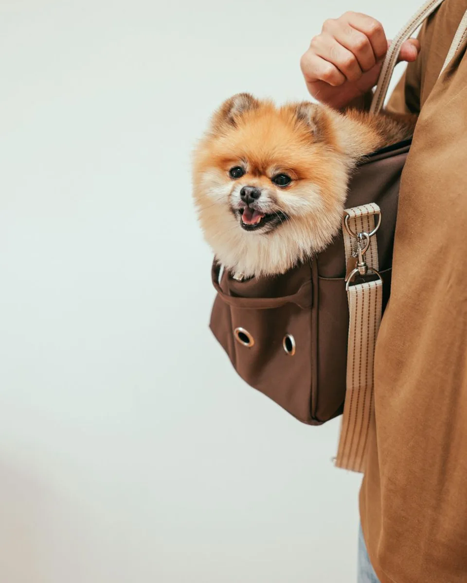 Túi đựng đồ đi dạo