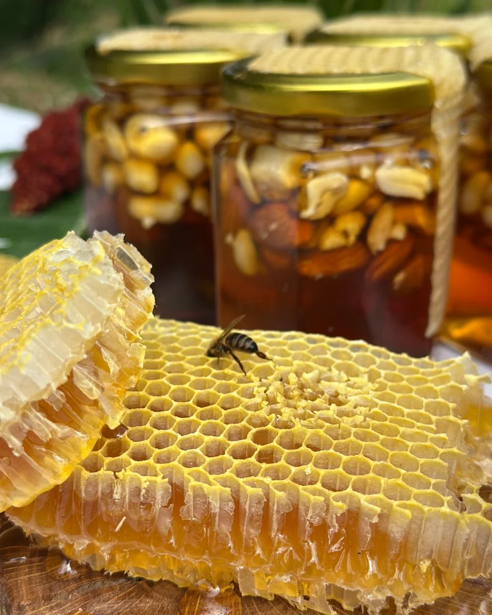 Mật ong rừng tuyển chọn - ảnh 3